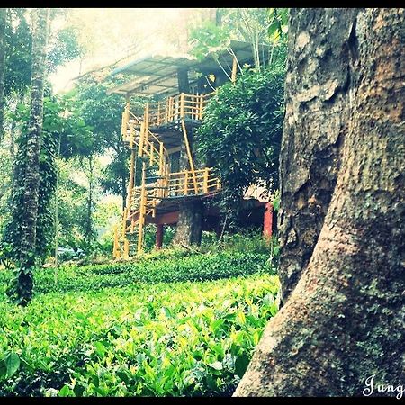 Jungle Jive Tree House Munnar Bed & Breakfast Екстериор снимка