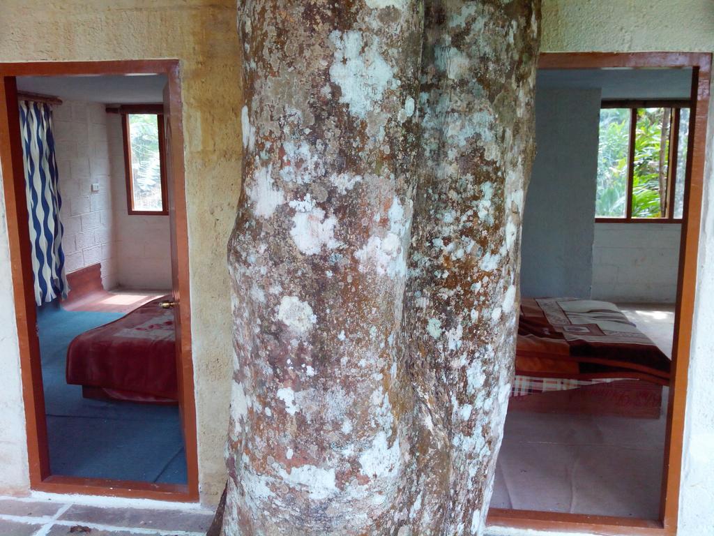 Jungle Jive Tree House Munnar Bed & Breakfast Екстериор снимка