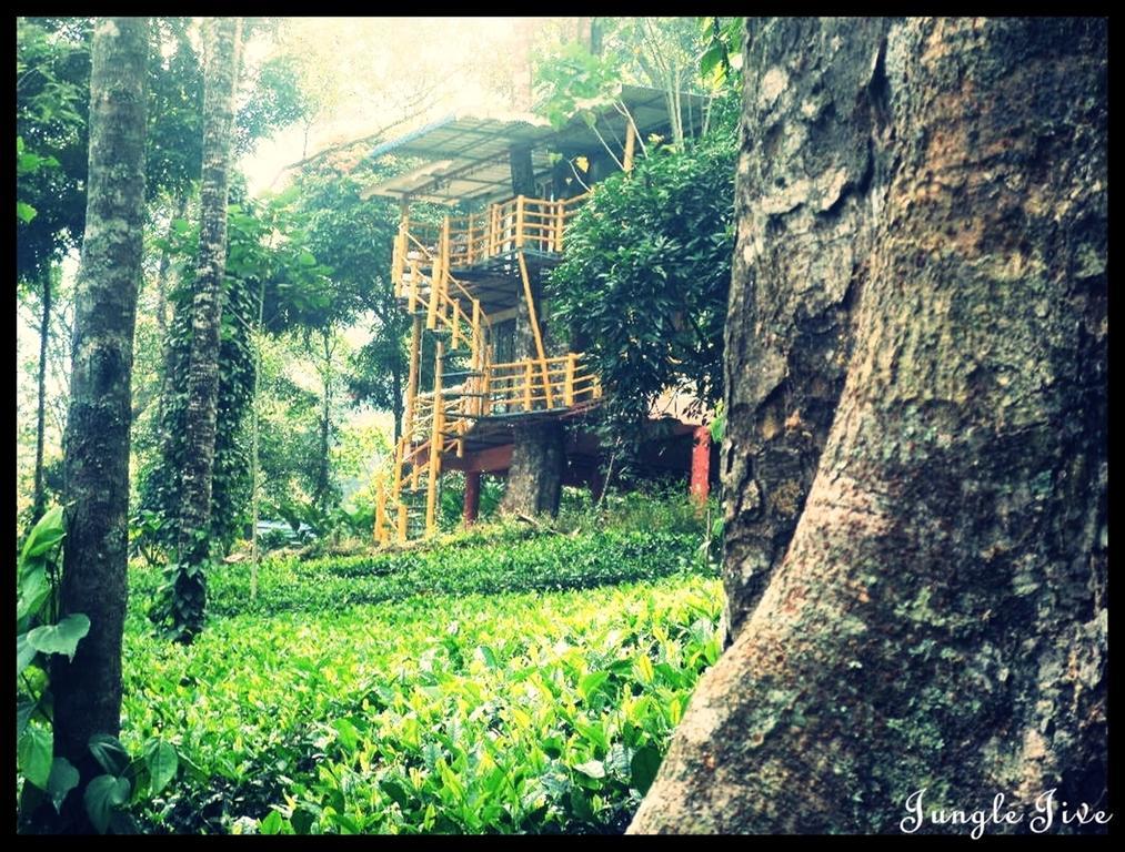 Jungle Jive Tree House Munnar Bed & Breakfast Екстериор снимка