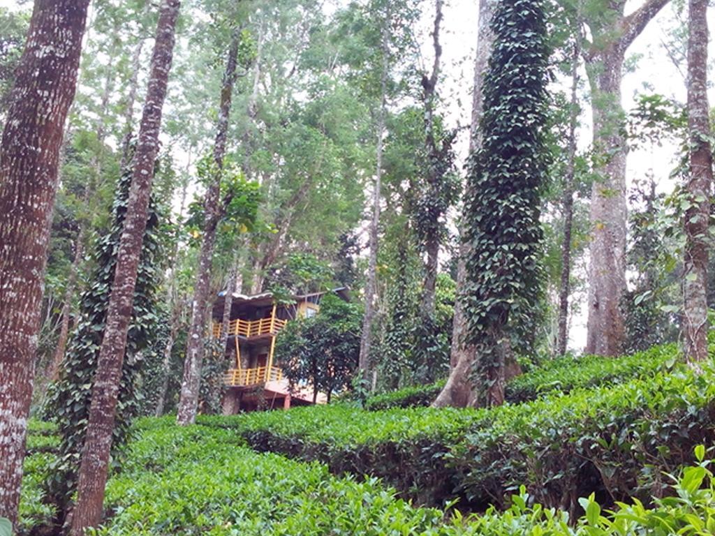 Jungle Jive Tree House Munnar Bed & Breakfast Екстериор снимка