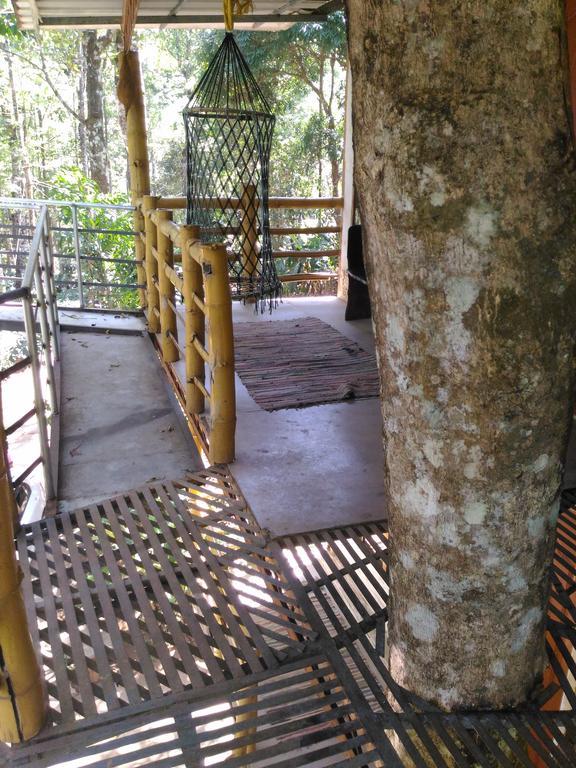 Jungle Jive Tree House Munnar Bed & Breakfast Екстериор снимка