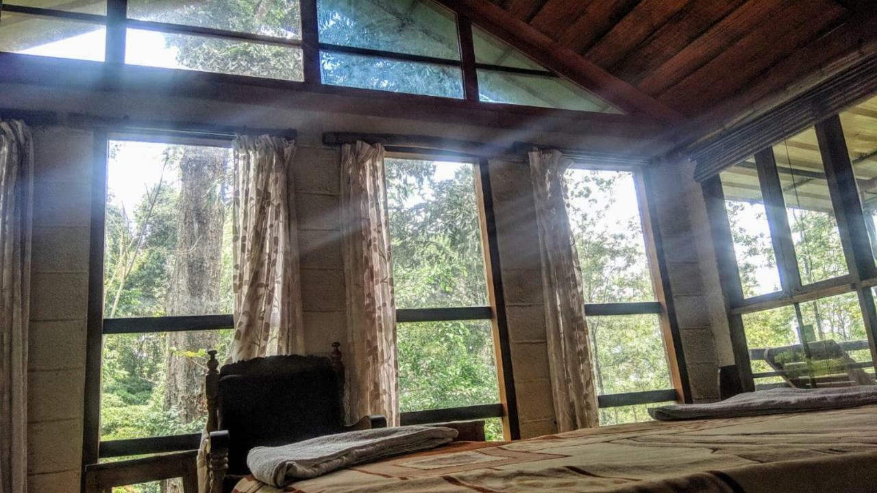 Jungle Jive Tree House Munnar Bed & Breakfast Екстериор снимка
